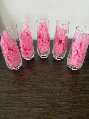 Set of 5 Stemless Champagne Flutes